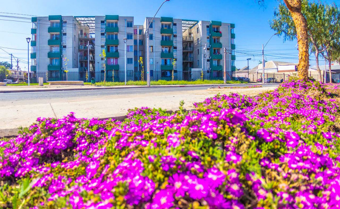 Conjunto Habitacional Las Viñitas