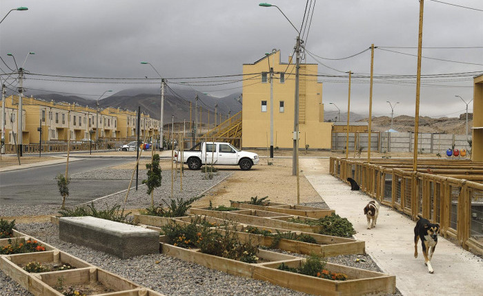 Oasis de Chañaral